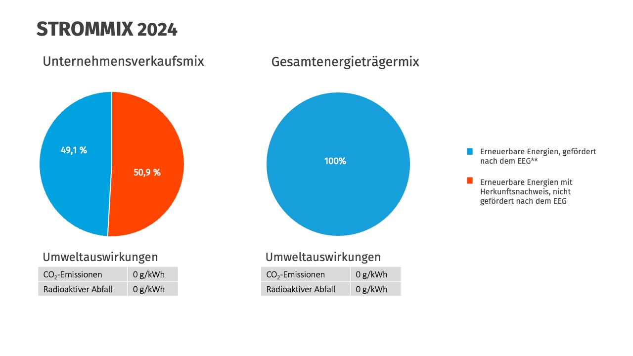 Stromkennzeichnung 2024 beegy