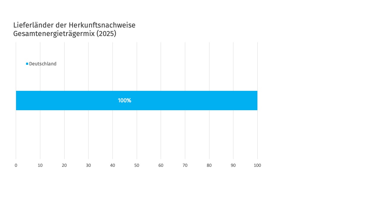 Lieferländer Strommix Deutschland 2025